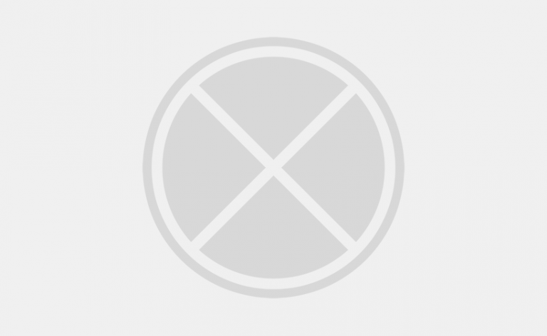 Doroeminum menandri electram facilisis