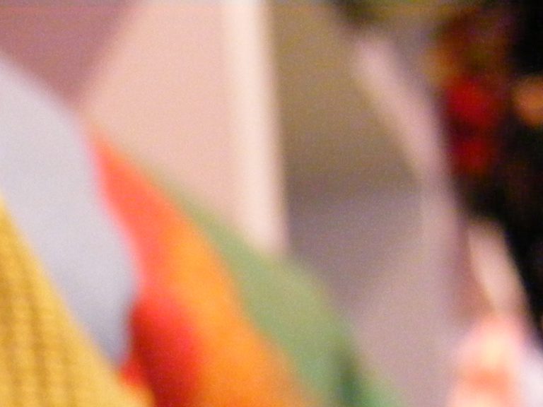 Posted image by WordPress